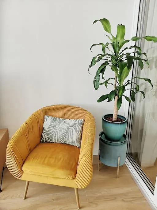 Apartmán Chez L'Hadriana, 2X Ac Clim Wi-Fi,Newly Renovated Nice Francie